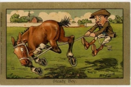 Humor - Umoristica - Bambino Con Cavallo - Steady Boy - Formato Piccolo Non Viggiata - Humorous Cards