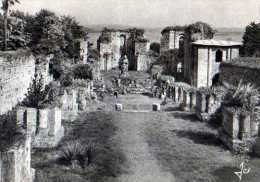 29 Abbaye De LANDEVENNEC Ruines De L'Eglise Abbatiale Dont L'ensemble Date De L''epoque Romane - Landévennec