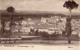 43 YSSINGEAUX Vue Panoramique - Yssingeaux