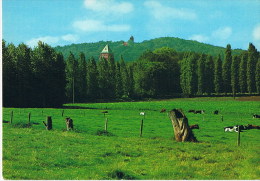 Kemmelberg   Uit Kijktoren - Heuvelland