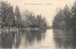 79 - PRESSIGNY (THENEZAY) - Le Château Du Porteau - Vue De L´Etang     Timbrée - Excellent état - Thenezay