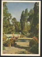 BAD PYRMONT Niedersachsen Zypressenweg Im Palmengarten Ca. 1950 - Bad Pyrmont