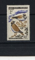 SAINT-PIERRE ET MIQUELON - Y&T N° 366* - Oiseau - Gravelots - Ungebraucht