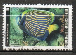 NOUVELLE-CALEDONIE Faune Marine 1986 N°512 - Used Stamps