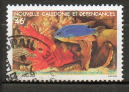 NOUVELLE-CALEDONIE Faune Marine 1988 N°552 - Used Stamps