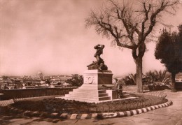 1954  ROMA - Tarjetas Panorámicas