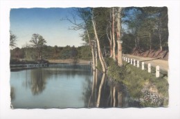 Crocq. Etang De Basvillette. - Crocq