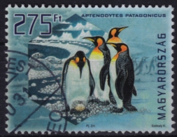 2009 - HUNGARY -  King Penguin (Aptenodytes Patagonicus) - Pingouins & Manchots