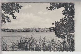 4530 IBBENBÜREN - ZUMWALDE, Naturschutzgebiet "Heiliges Meer", 1958 - Ibbenbueren