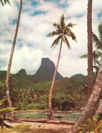 TAHITI, Collection UTA . (Grand Format  19.5x15 Cm ) - Polynésie Française
