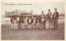 C1920 WESTON SUPER MARE - THE DONKEYS - Weston-Super-Mare