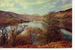 INVERNESS  - Loch Lomond Near  Ardlui - By W S Thomson  M175 - Inverness-shire