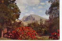 INVERNESS  - Ben Nevis From Inverlochy Castle - By W S Thomson  M177 - Inverness-shire