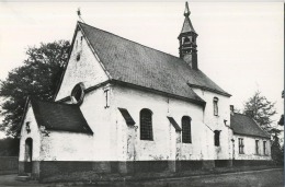 Lummen :  Kapel Van De Beukenboom - Lummen