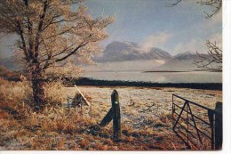 DUNBARTON -  A Winter Study Of  Ben Nevis From Locheilside Near Corpach - By W S Thomson   M188 - Dunbartonshire