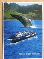 Hawaii / Whale - Sonstige & Ohne Zuordnung