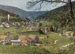 B73394 Bad Herrenalb Haus Hafner Im Wiesengrund  2 Scans - Bad Herrenalb