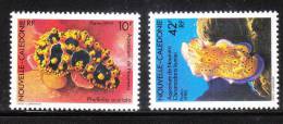 New Caledonia 1990 Noumea Aquarium MNH - Unused Stamps