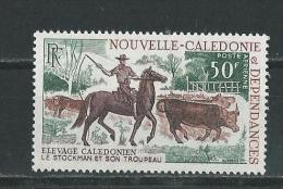 Nouvelle-Calédonie:  PA 104 **  Elevage De Bovin - Vaches