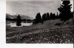 Crans Sur Sierrele Lac Moubra - Crans