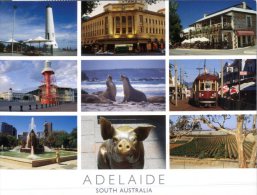 (543) Australia - SA - Adelaide - Adelaide