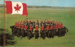 O-ROYAL CANADIAN MOUNTED POLIE(GIUBBE ROSSE) - Police - Gendarmerie