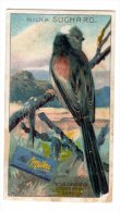 Chromo SUCHARD, N° 291 / 5, (rare Serie) Oiseau, Mesange - Suchard