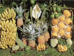 (432) Australia - Exotic Fruits From NSW North Coast - Outback