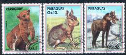 PARAGUAY / ANIMALS / 3 VF USED STAMPS . - Conejos