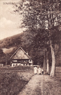 WOLFACH, Schwarzwaldhaus, Avril 1918 - Wolfach