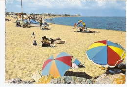 Pyrénées Orientales - 66 - La Plage Ed Audumares De Perpignan .. - Argeles Sur Mer