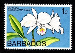 1748x)  Barbados 1974 - Sc # 396  Mnh**  ( Catalogue $.25) - Barbados (1966-...)