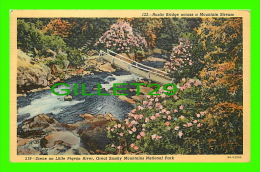 ASHEVILLE, NC - SCENE ON LTTLE, GREAT SMOKY MOUNTAINS NATIONAL PARK - RUSTIC BRIDGE - TRAVEL IN 1943 - H. N. MARTIN - - Asheville