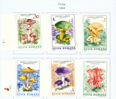 ROMANIA - 1986  Fungi  Mounted Mint - Unused Stamps