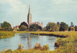 SALISBURY (Angleterre) - Salisbury