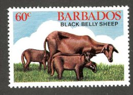 1871x)  Barbados 1981 - Sc # 548  Mnh**  ( Catalogue $.50) - Barbados (1966-...)