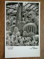 Oude Aalsmeerse CACTUS KWEKER Holland - Foto A.W.v. BEURDEN - Anno 19?? ( Zie Foto Voor Details ) !! - Aalsmeer