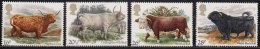 Highland Cow, Chillingham Cow, Hereford Bull, Welsh Black Bull, Animal, Great Britain MNH - Vaches