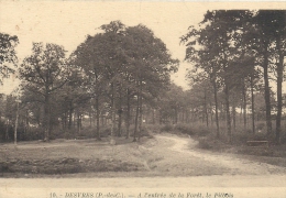 NORD PAS DE CALAIS - BOULOGNE - DESVRES - A ,l'entrée De La Forêt - Le Pilbois - Desvres