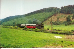 EREZEE-TRAMWAY DE L'AISNE-AMONINES-DOCHAMPS -tram Touristique A Vapeur-BLIER - Erezée