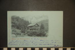 CP, Allemagne, Gruss Aus Schlangenbad Schweizerhaus N°137 Edition Carl V D Boogaart Wiesbaden Und Munchen - Schlangenbad