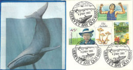 AUSTRALIE. Whale Watching. Hervey Bay (Queensland), Enveloppe Souvenir - Wale