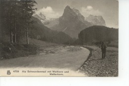 Alp Schwandenmad Mit Wellhorn Und Wetterhorn - Schwanden Bei Brienz