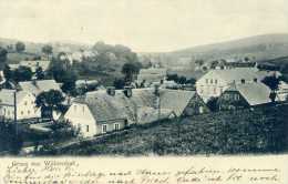 WOLMSDORF. Gruss Aus......Panorama.  Posted For TRIESTE 1906. - Autres