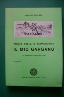 PFM/51 Zallone PUGLIA BELLA E SCONOSCIUTA IL MIO GARGANO Ed.Giustizia Nuova 1971/Vieste - Turismo, Viaggi