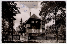 Postcard - Braunlage Im Harz, Schutzenheim    (11285) - Braunlage