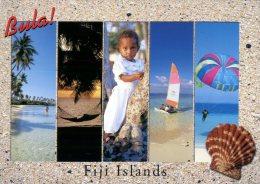 (153) Fiji Island (with Seashell) - Fidji