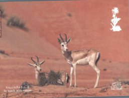 (349) United Arab Emirates - Abu Dhabi Al Ain Wildlife Park - Sand Gazelle - Verenigde Arabische Emiraten