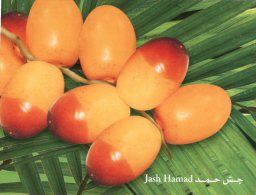 (349) United Arab Emirates - Fruits - Verenigde Arabische Emiraten