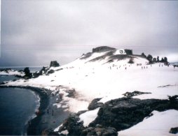 (349) Antarctica Islands - Halfmoon Island - South Shetlands - Andere & Zonder Classificatie